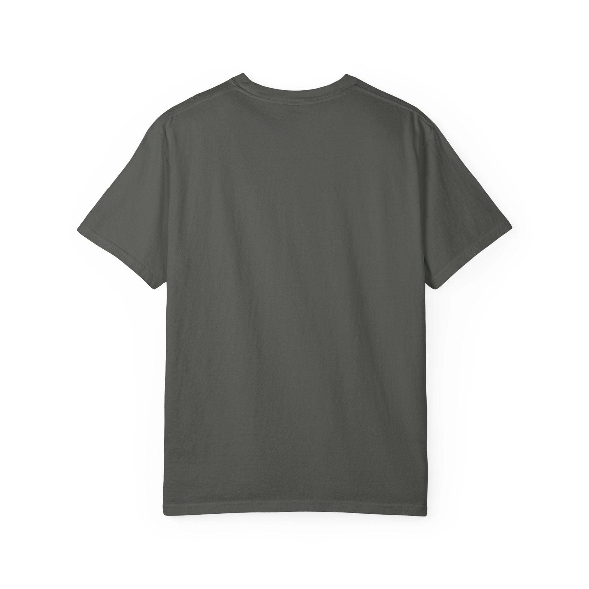 This Can't Be The Same Heat Whitney Wanted To Feel With Somebody T-Shirt | Retro Unisex Comfort Colors Shirt